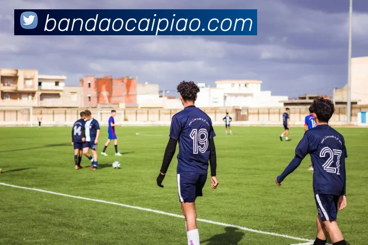 半岛彩票平台生态图