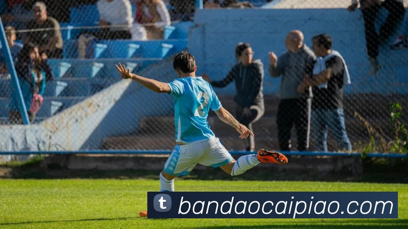 半岛彩票APP 封面图